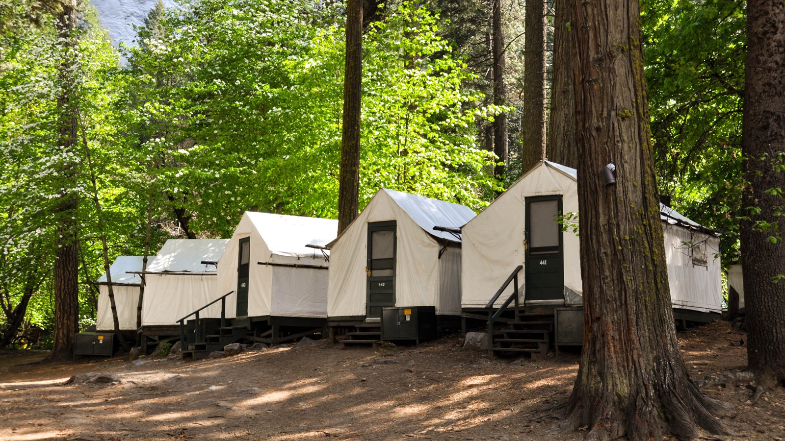 Curry Village Yosemite National Park